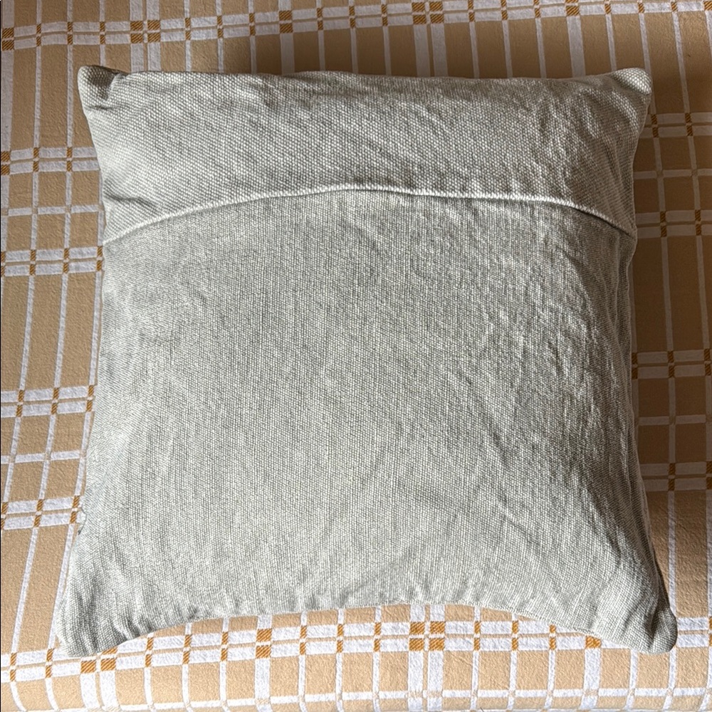 WEST ELM - stone washed Woven pillow with down insert 24” x 24”